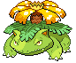 Shiny goes here