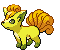 Shiny goes here