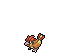 pidgeotto icon