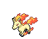 rapidash icon